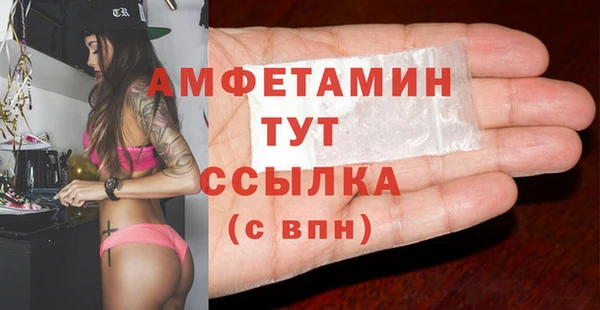 сатива Балахна