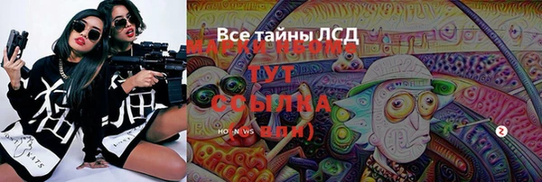 сатива Балахна