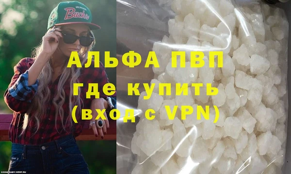 сатива Балахна