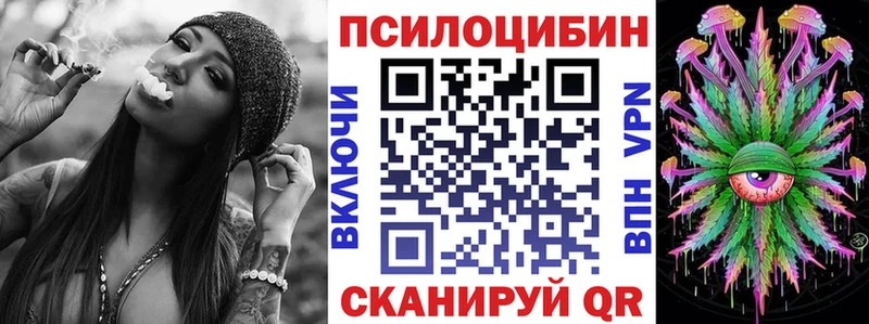 Галлюциногенные грибы Psilocybine cubensis  Чернушка 