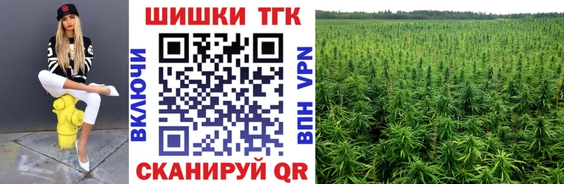 гидра ссылка  Чернушка  Шишки марихуана OG Kush  наркотики 